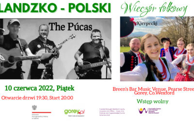 Irlandzko-Polski Wieczór Folkowy ponownie jednym z wydarzeń Festiwalu PolskaÉire w Gorey.