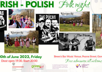 Irish-Polish Folk Night, PolskaÉire Festival 2022 in Gorey